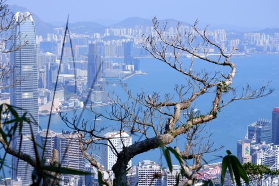 {{brizy_dc_image_alt imageSrc=