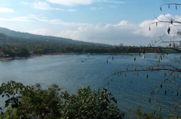 {{brizy_dc_image_alt imageSrc=